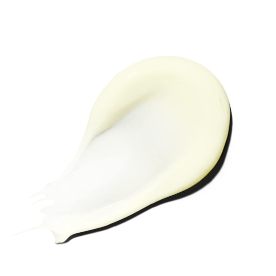 Paul Mitchell The Detangler - TAANA | Top Hair & Beauty Brands