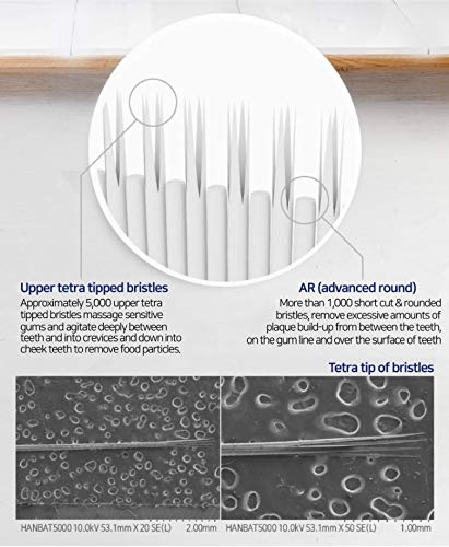 Kent Toothbrush Crystal - Small Head Deep Cleaner - TAANA | Top Hair & Beauty Brands