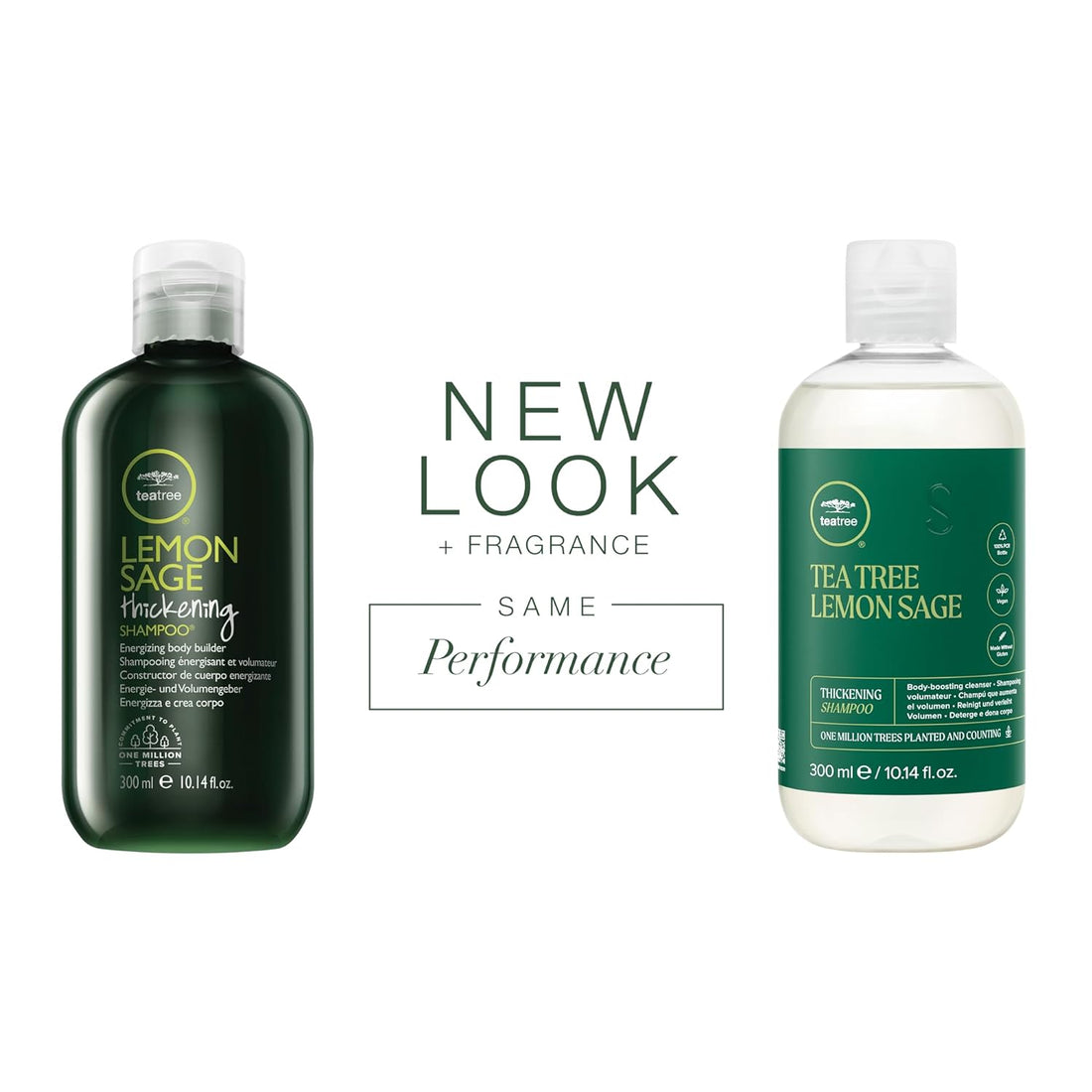 Paul Mitchell Tea Tree Lemon Sage Thickening Shampoo - TAANA | Top Hair & Beauty Brands