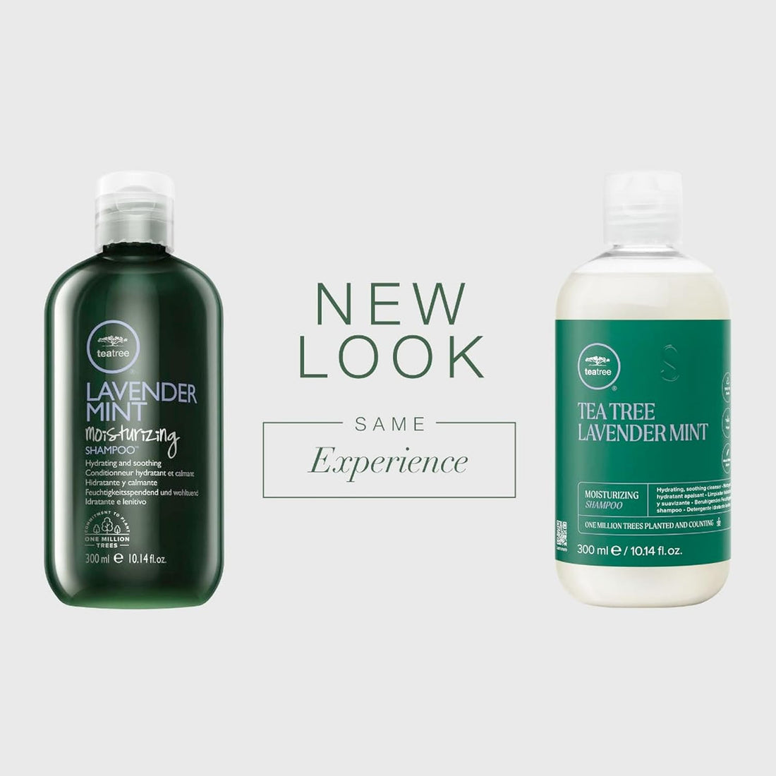 Paul Mitchell Tea Tree Mint Moisture Shampoo - TAANA | Top Hair & Beauty Brands