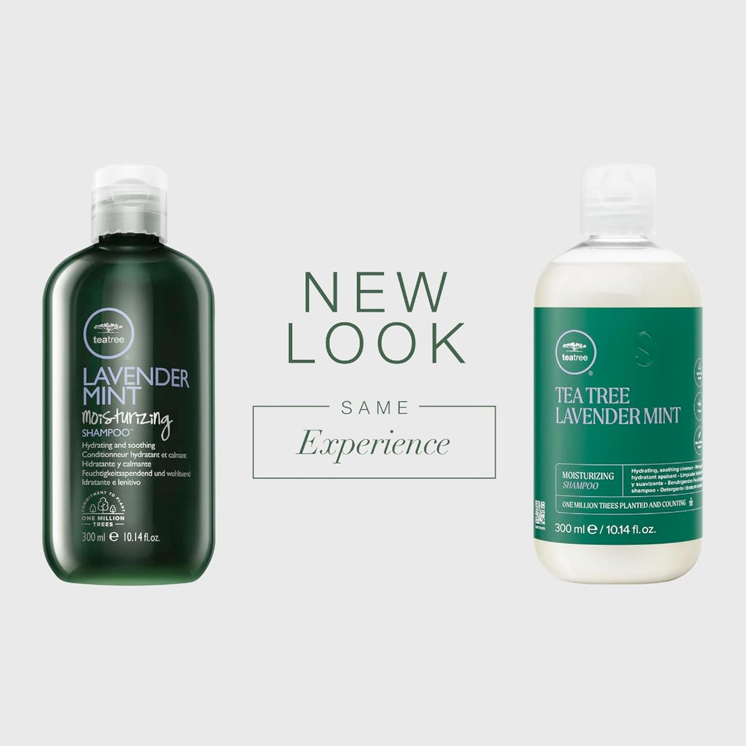 Paul Mitchell Tea Tree Mint Moisture Shampoo - TAANA | Top Hair & Beauty Brands